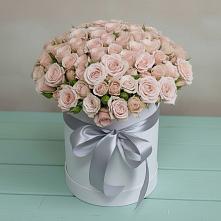 Цветочная композиция из Розы в шляпной коробке #REPLACE_PRED# Кошерово