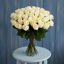 Букет 51 Белая роза Эдлесс Лав #REPLACE_PRED# Кошерово