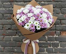 Букет цветов из:  Хризантемы в Кошерово