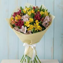 Букет цветов из:  Альстромерии в Кошерово