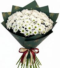 Букет цветов из:  Хризантемы #REPLACE_PRED# Кошерово