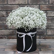 Цветочная композиция из Гипсофила в шляпной коробке в Кошерово