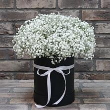 Цветочная композиция из Гипсофила в шляпной коробке в Кошерово