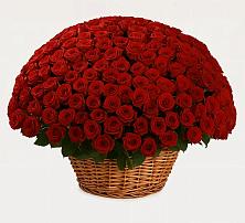 Премиум букет из: Розы в Кошерово